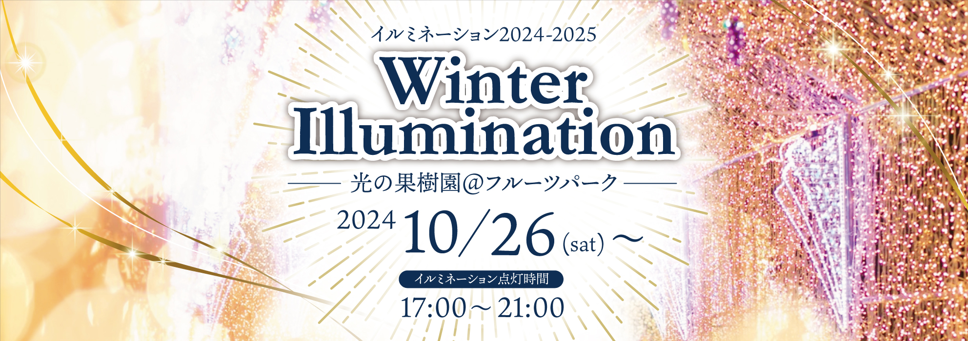 イルミネーション2024-2025　点灯期間：2024/10/26～ 17:00～21:00