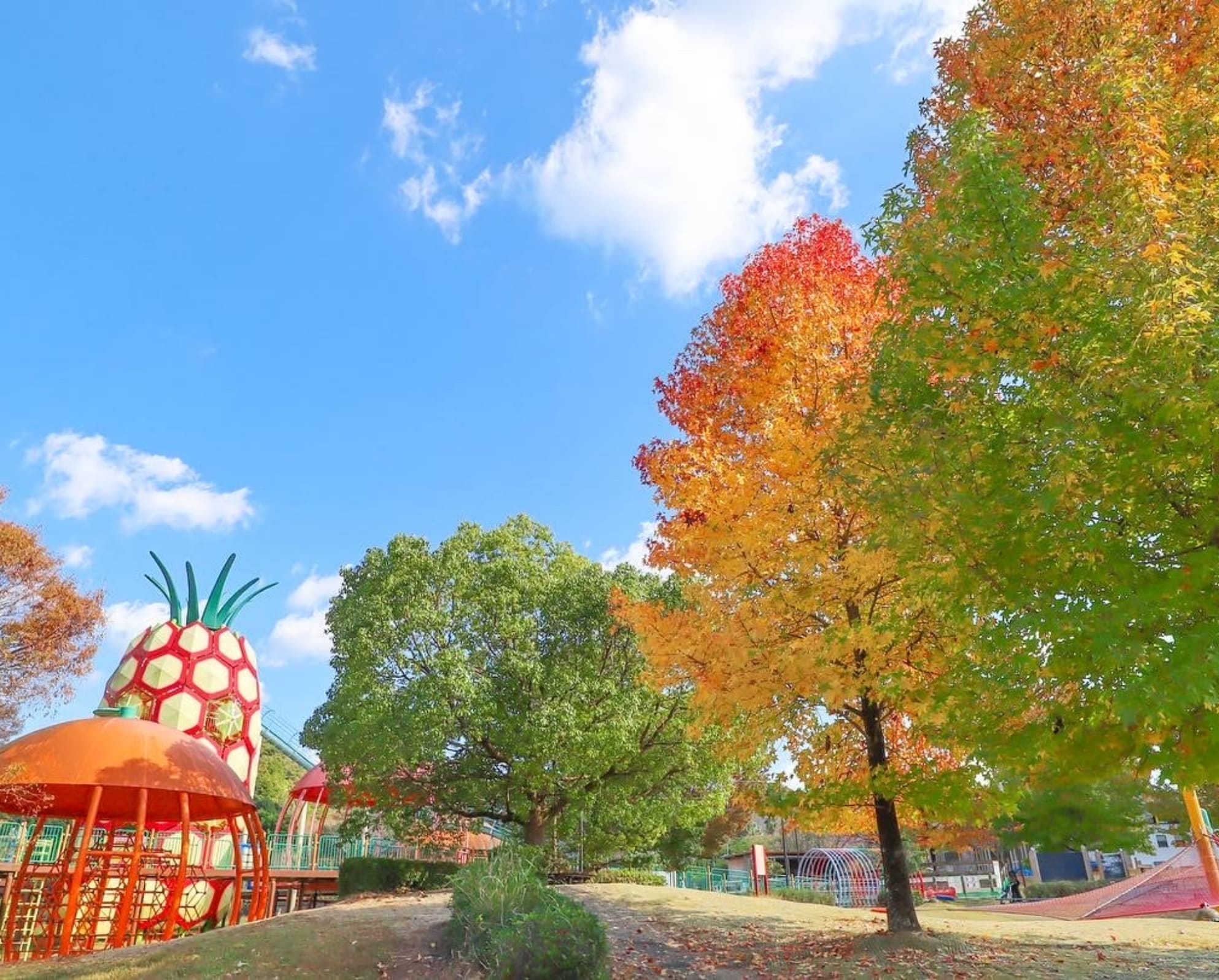 Hamamatsu Fruit ParkTokinosumika 