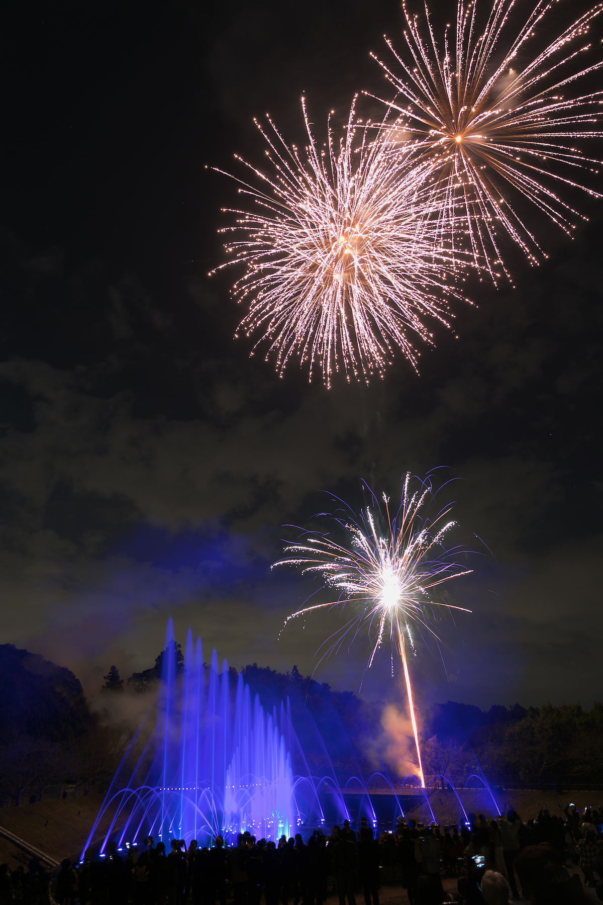 【限定】花火＆噴水ショー画像