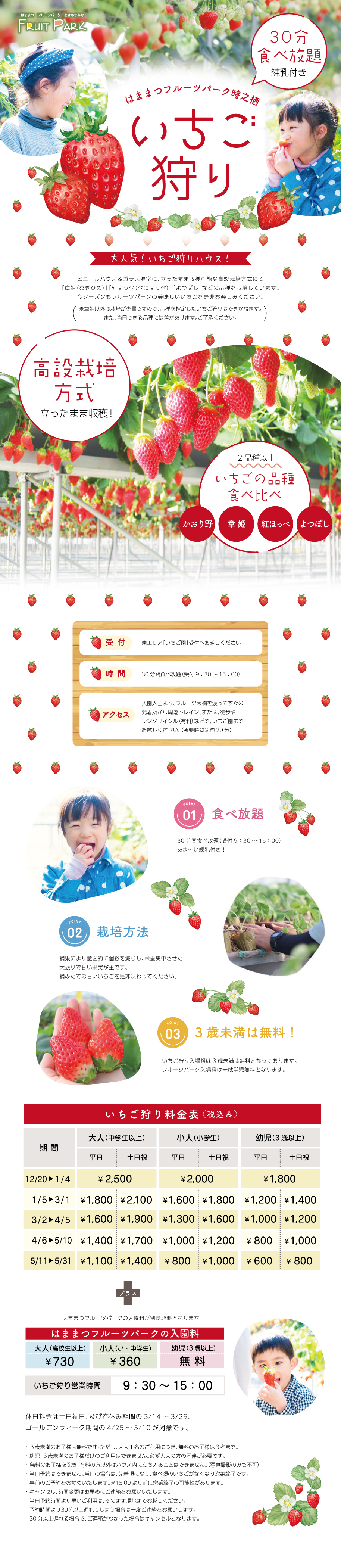2025-26  イチゴ狩り<strawberry picking>画像