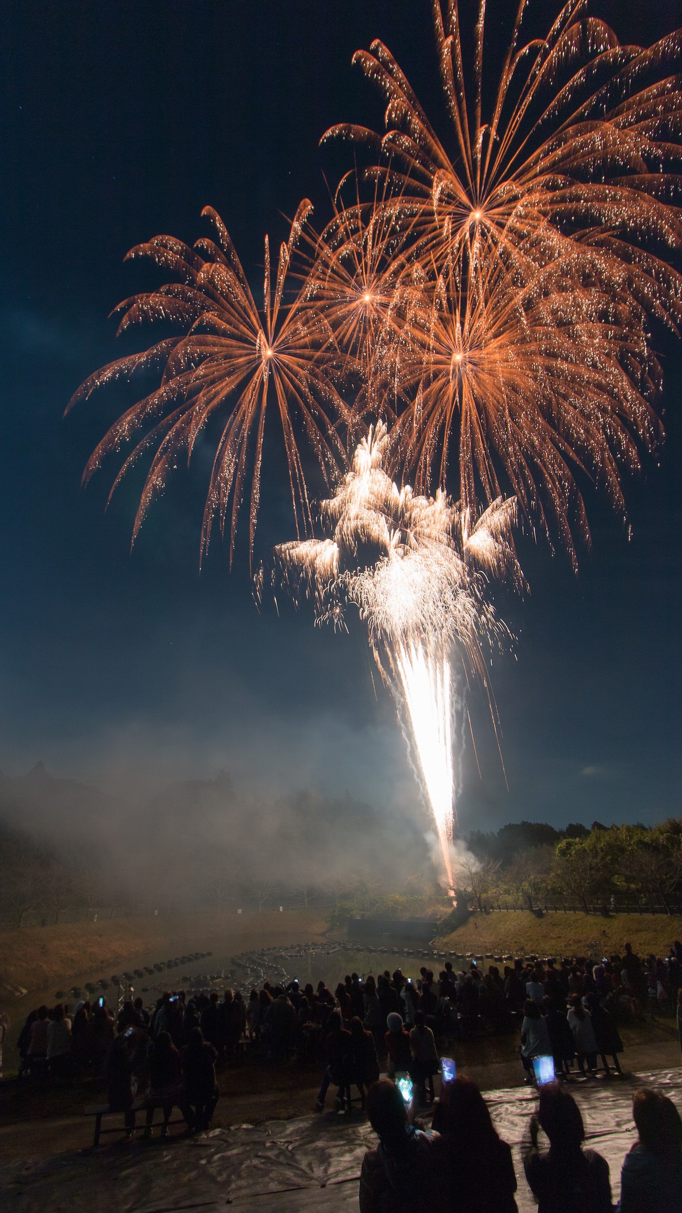 【限定】花火＆噴水ショー画像