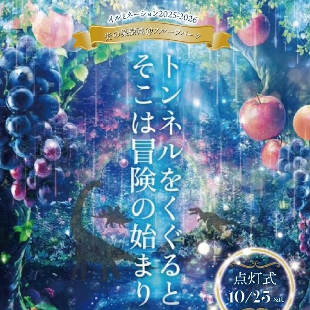 2025-26 ウィンターイルミネーション
