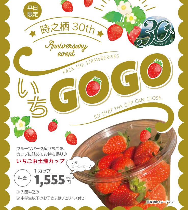 イチゴお土産カップ「いちGOGO！！！」画像