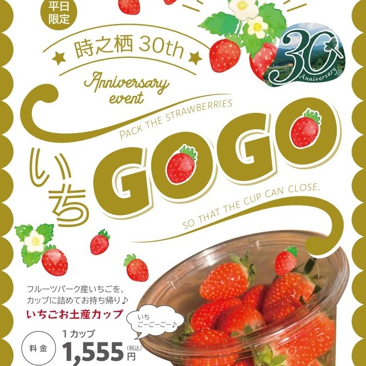 イチゴお土産カップ「いちGOGO！！！」