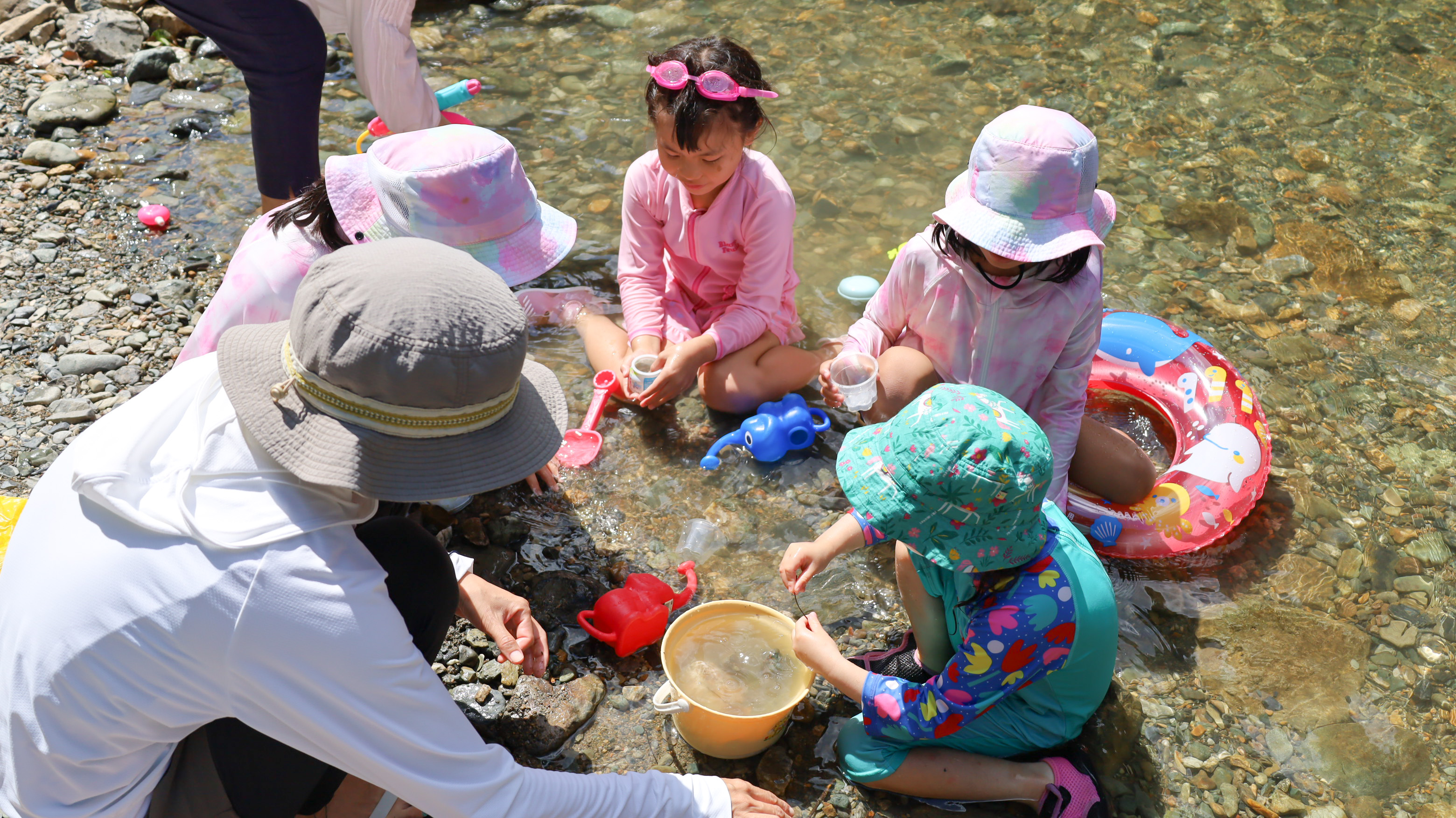 【夏季限定】都田川の水遊び 2023画像