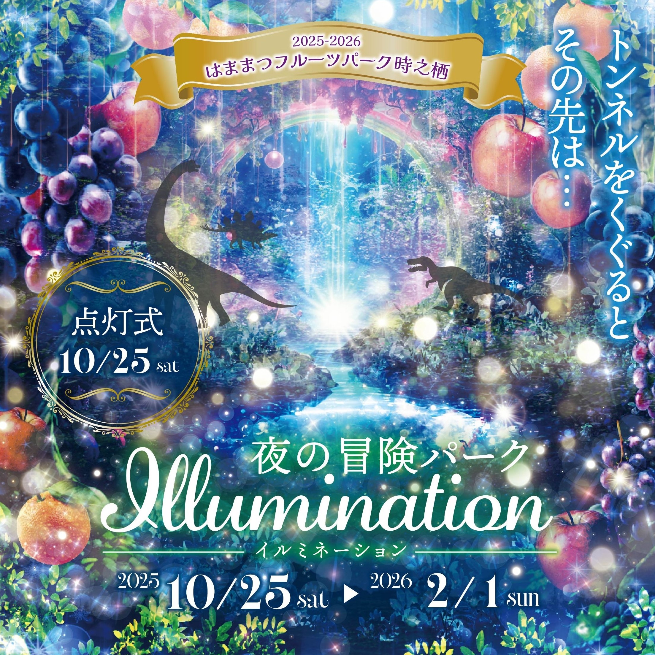 2025-26 ウィンターイルミネーション