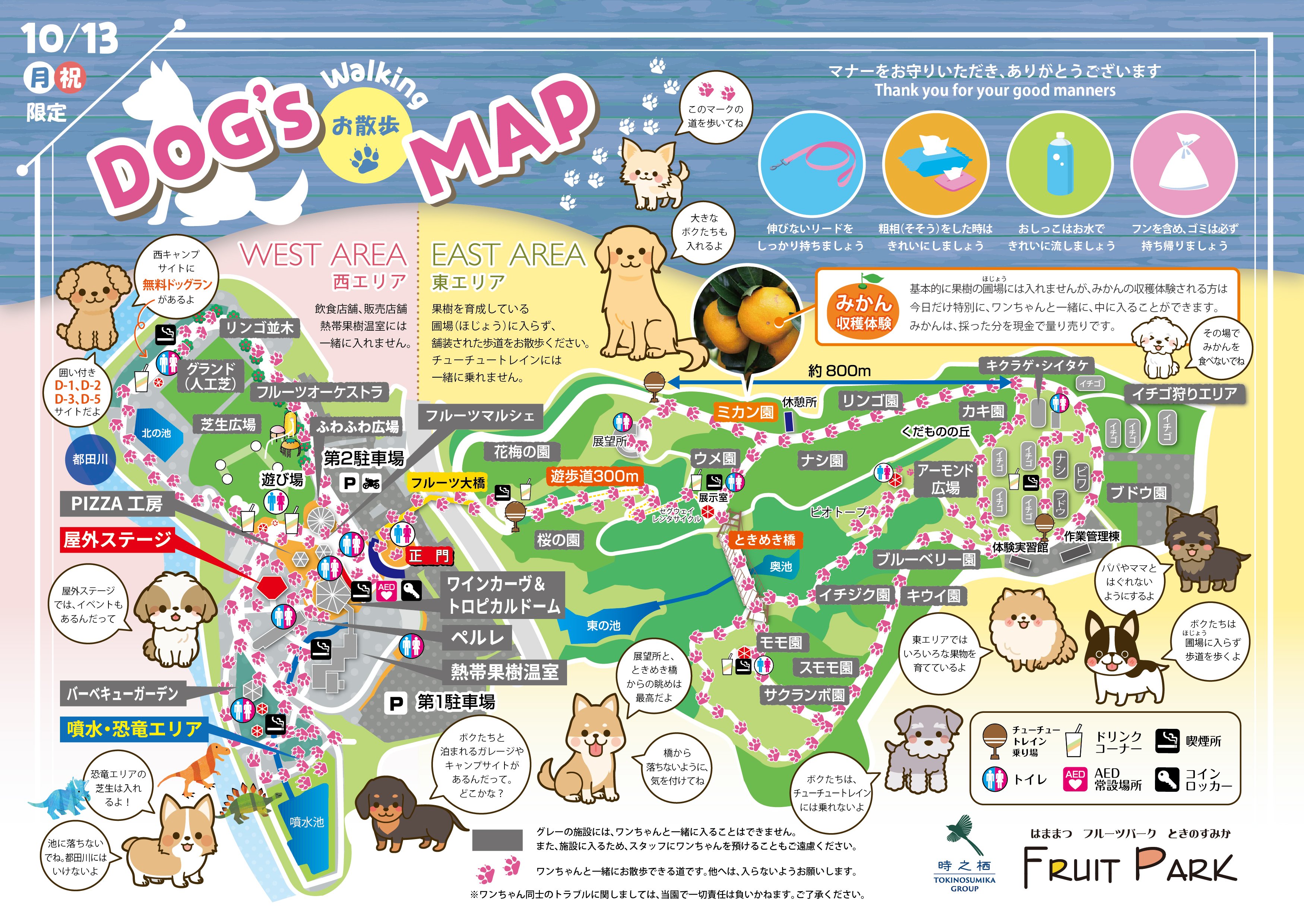 わん祭り  in  はままつフルーツパーク時之栖画像
