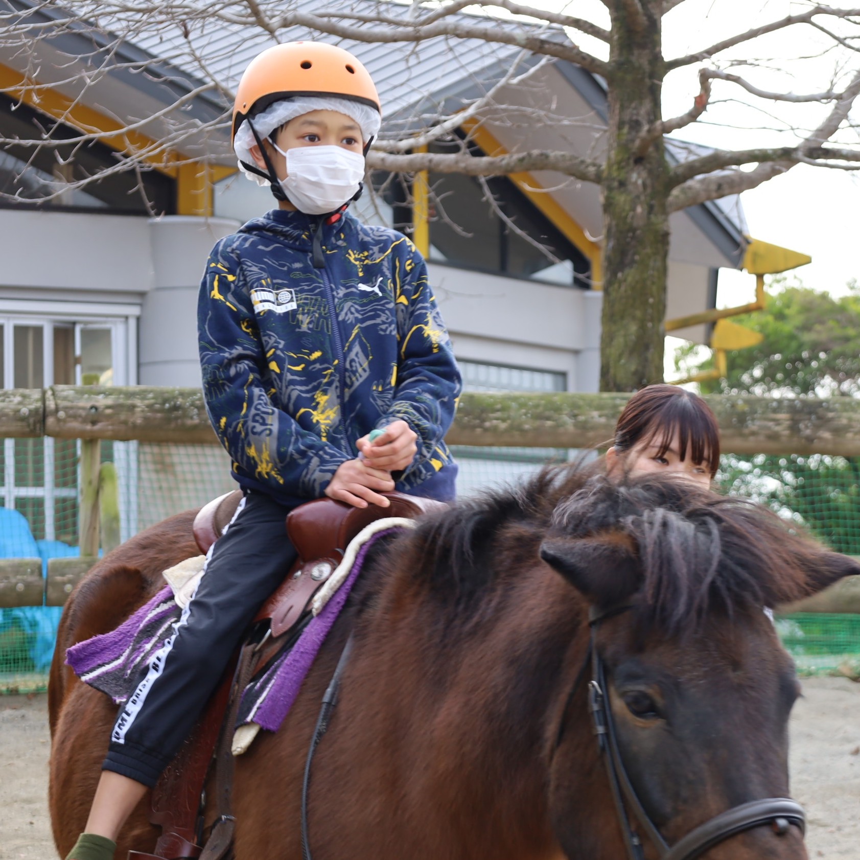 木曽馬の曳き馬 乗馬イベント