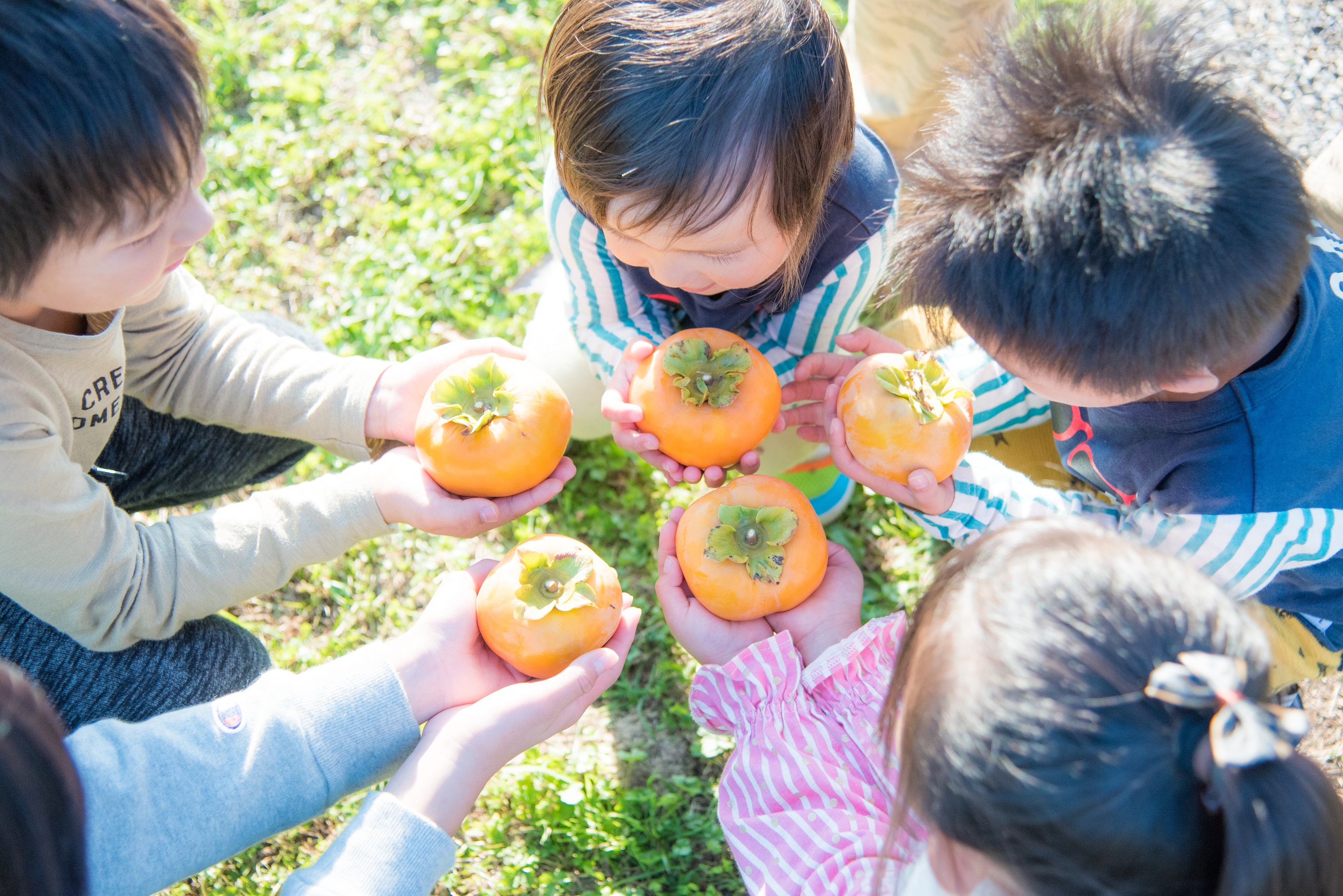 子育て応援ＤＡＹ画像