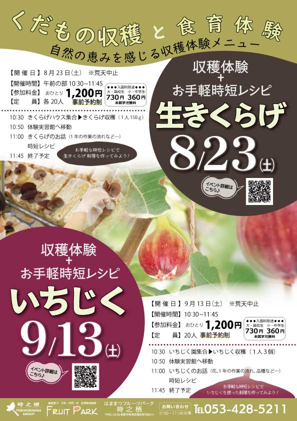 いちじくを収穫して、お手軽な時短レシピでいちじくを使った料理を作ってみよう!画像