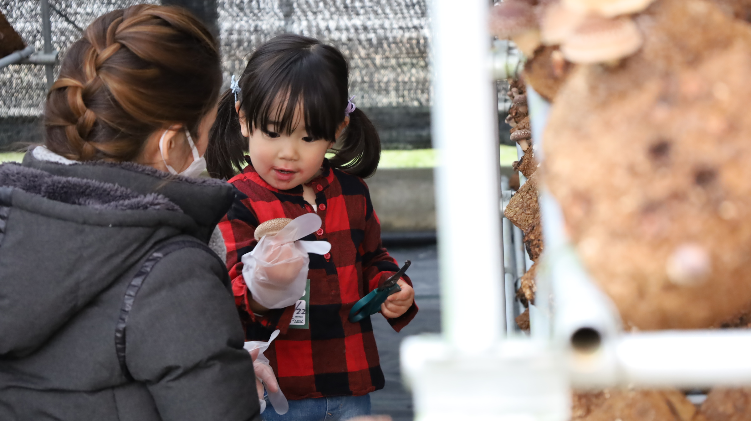 子育て応援ＤＡＹ画像