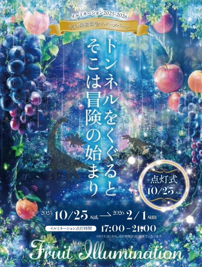 2025-26 ウィンターイルミネーション画像