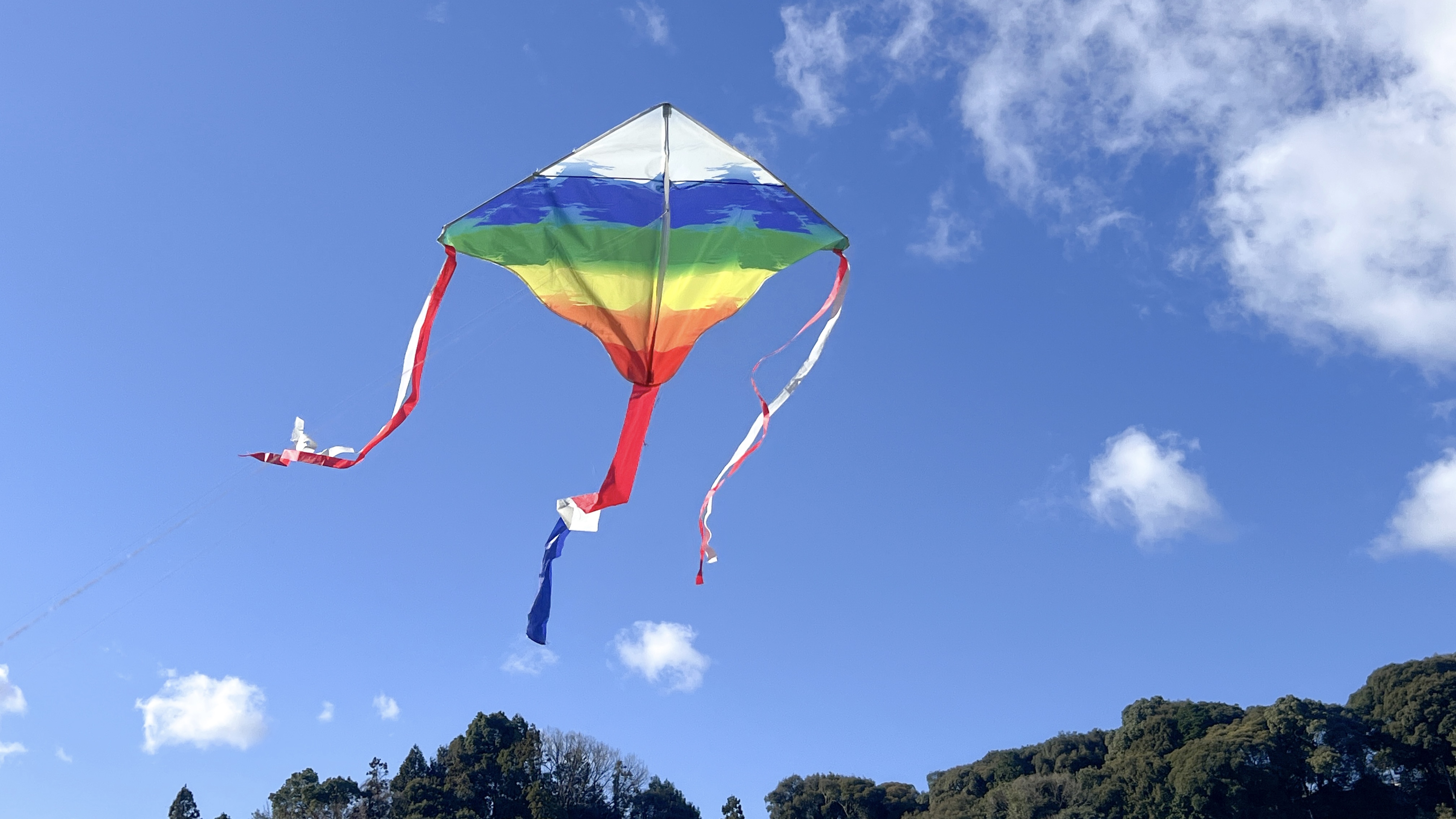 凧あげINフルーツパーク画像