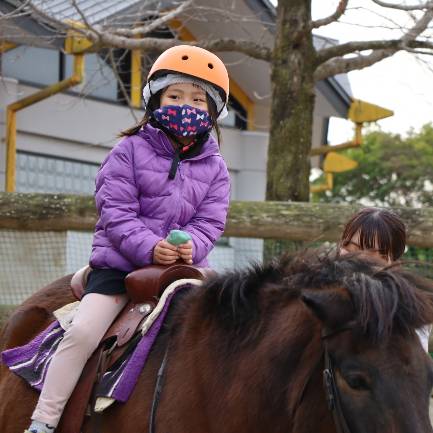 木曽馬の曳き馬 乗馬イベント