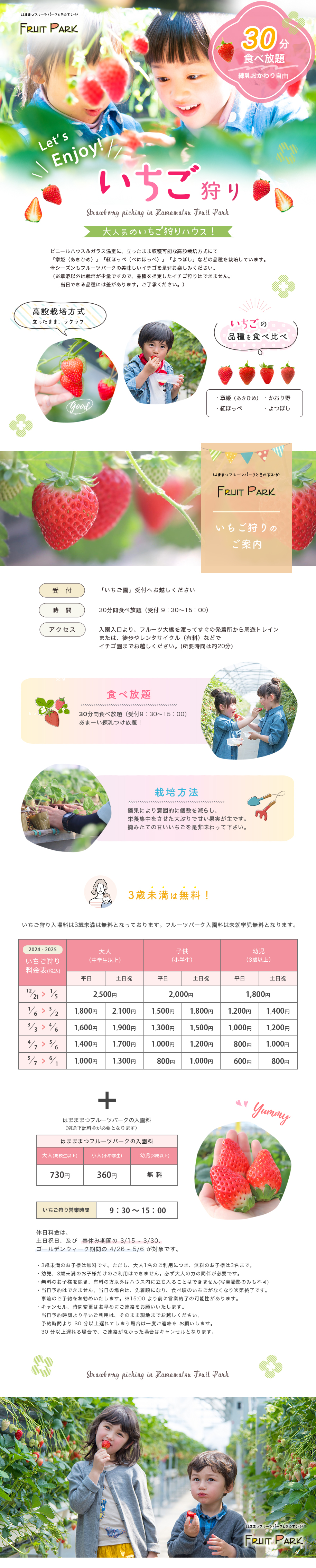 2024-25  イチゴ狩り<strawberry picking>画像