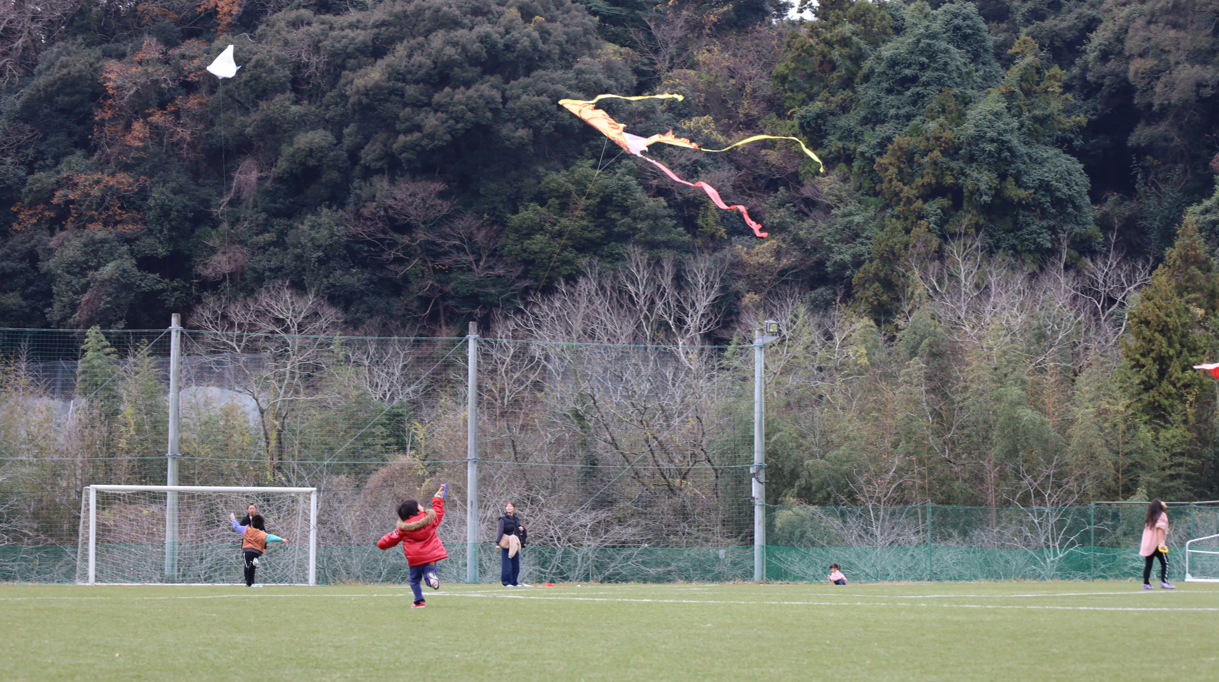 凧あげINフルーツパーク画像